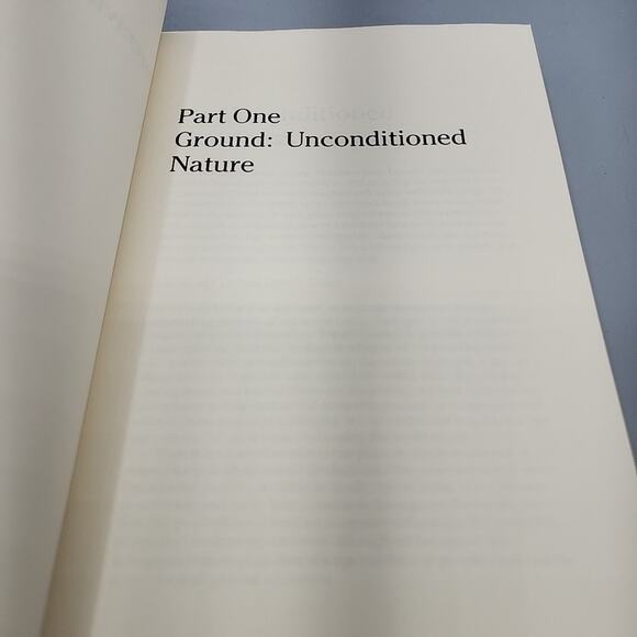 Perceiving Ordinary Magic Science and Intuitive Wisdom by Jeremy W. Hayward - Picture 9 of 13